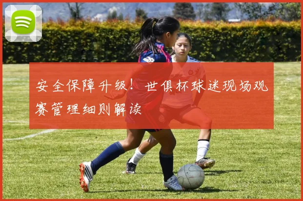 安全保障升级！世俱杯球迷现场观赛管理细则解读