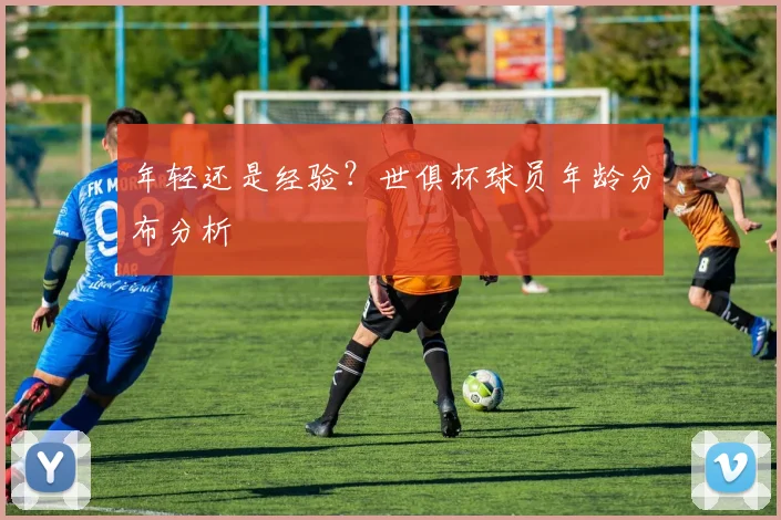 年轻还是经验？世俱杯球员年龄分布分析
