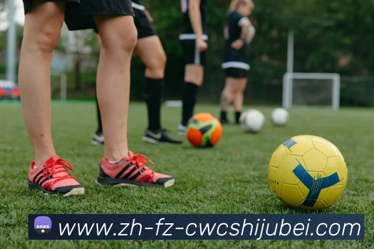 App Interface Preview