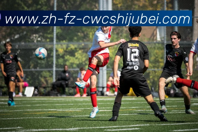 世界杯买球APP 封面图