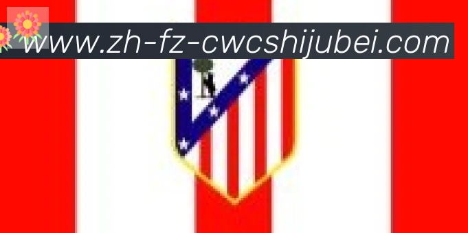 世界杯买球合作伙伴