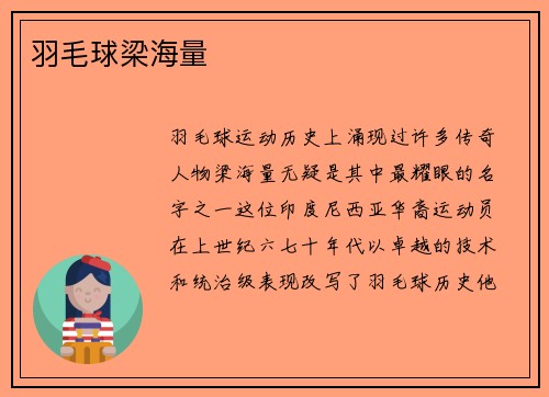 羽毛球梁海量