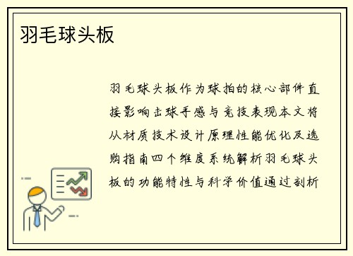 羽毛球头板
